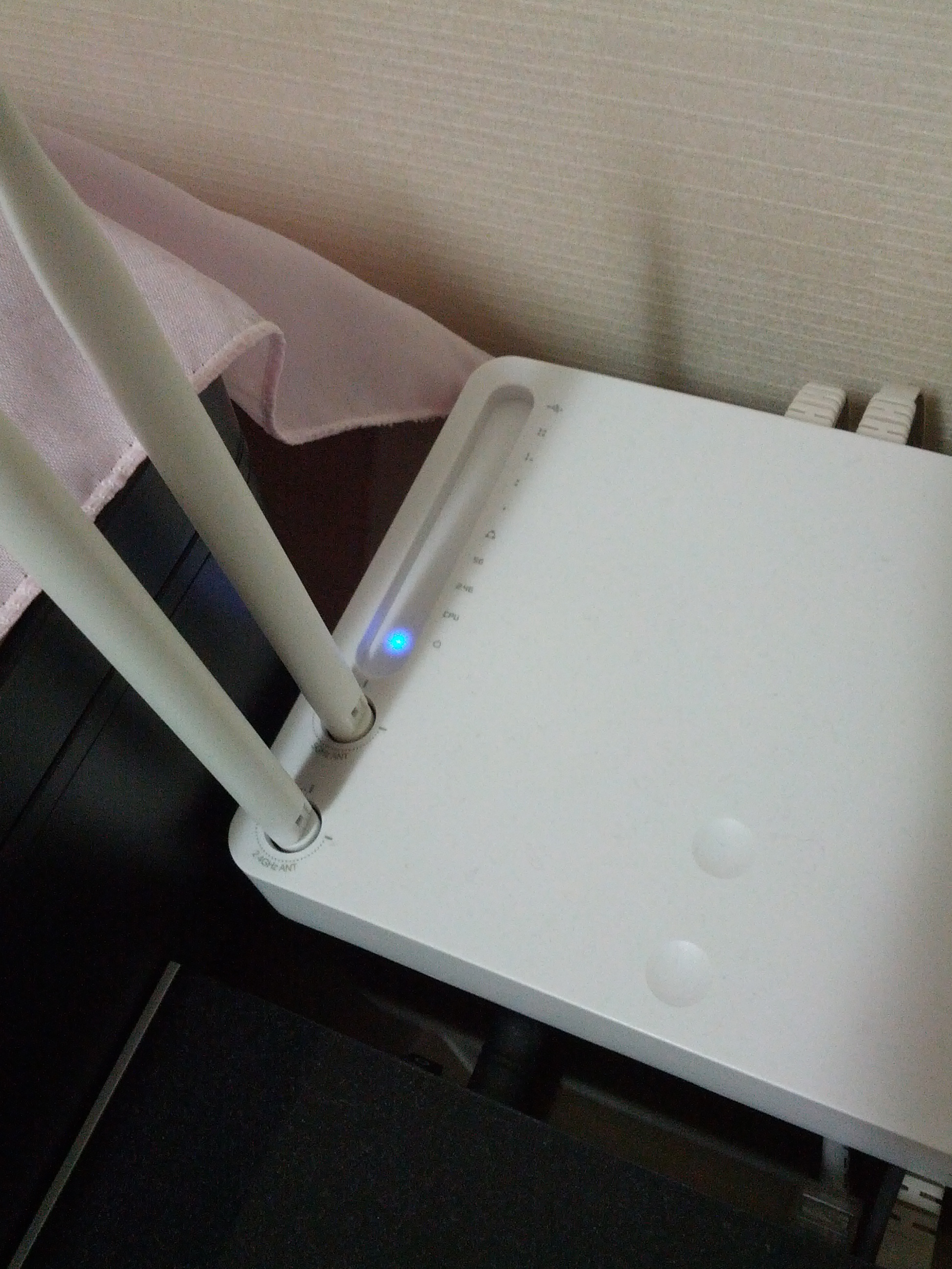 IMG_20131120_061751.jpg