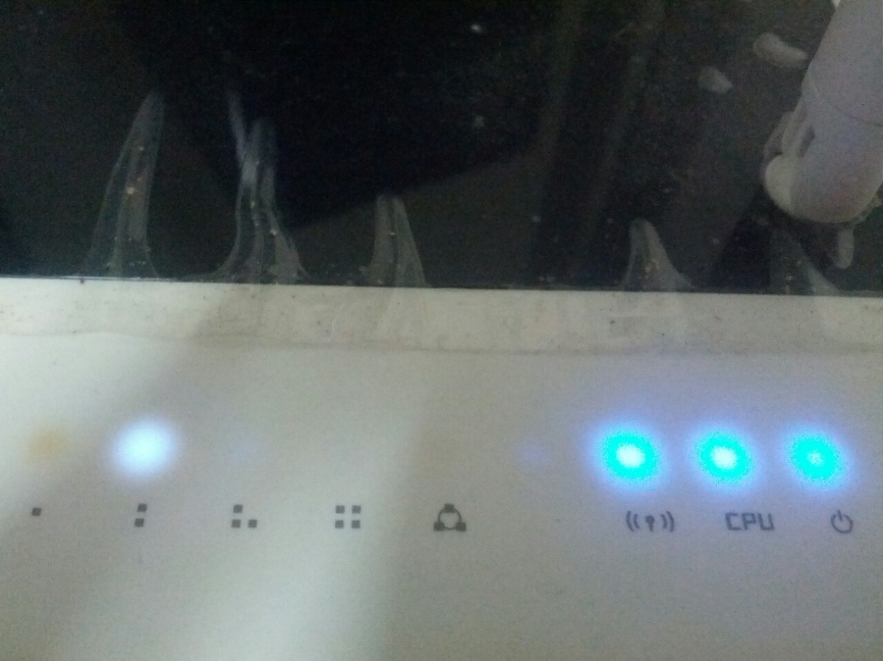 skstkfrjdi_1412208607_01.jpg