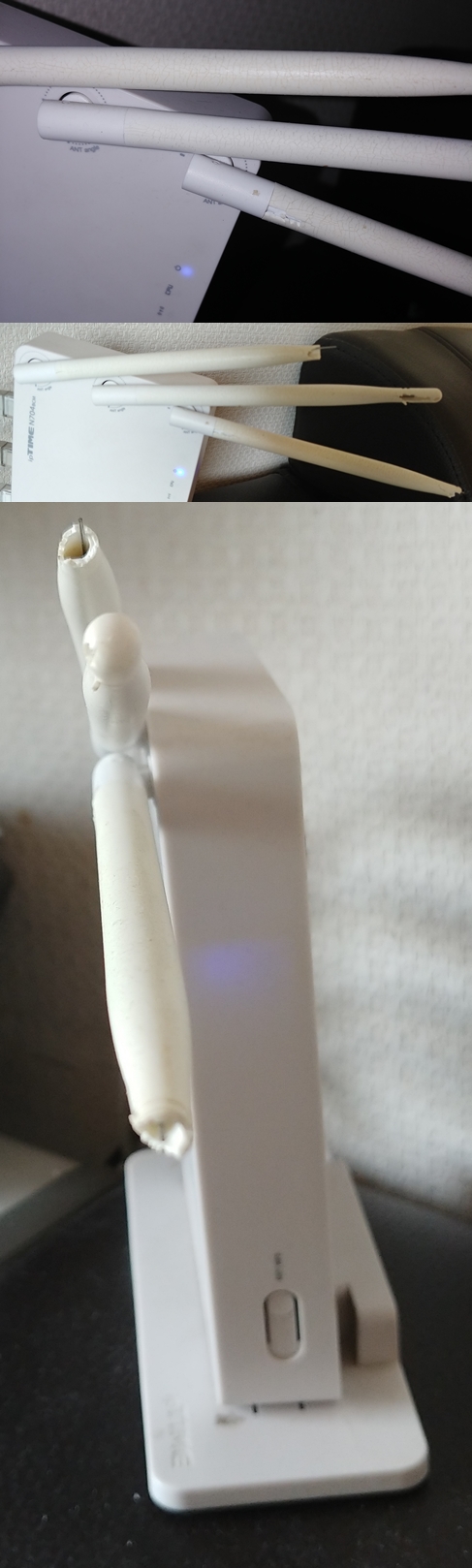20190121_142902-vert.jpg